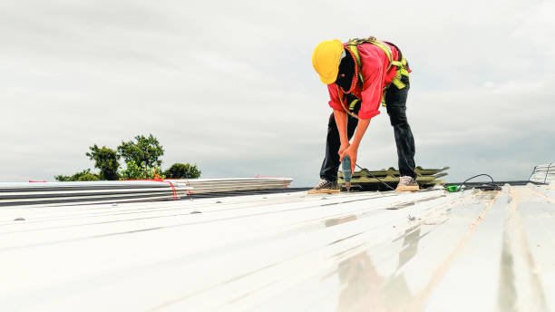 Best Skylight Installation and Repair  in Marion, OH